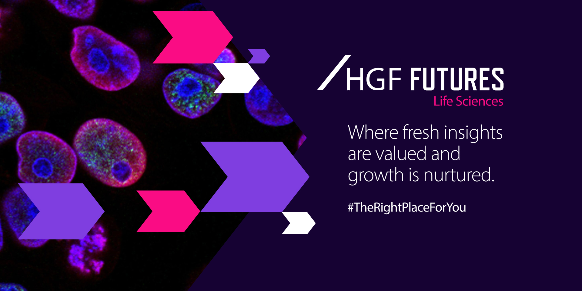 HGF Futures - HGF